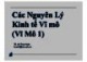 Bài giảng Các nguyên lý kinh tế vĩ mô: Chương 1 - TS. Hà Thúc Huân