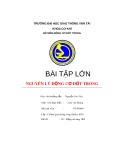 Tài liệu Bài tập lớn Nguyên lý động cơ đốt trong