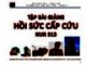 Bài giảng Hồ sơ cấp cứu đào tạo cử nhân điều dưỡng - ThS. Nguyễn Phúc Học